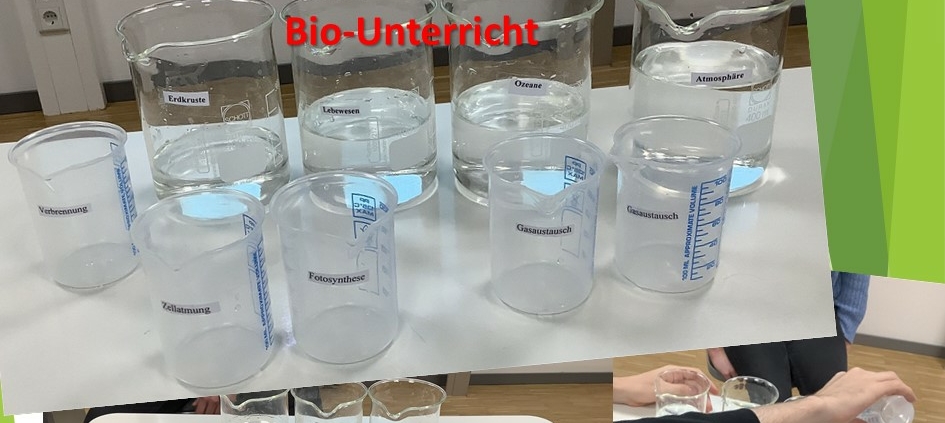 CO2-Freisetzung Im Bio-Experiment - Weiterbildungskolleg Münster